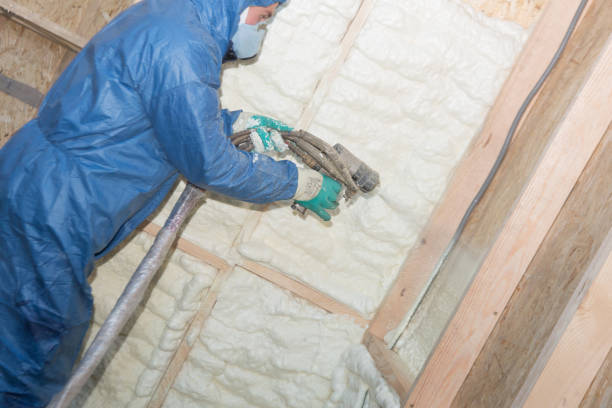 Best Insulation Air Sealing  in Robinson, IL